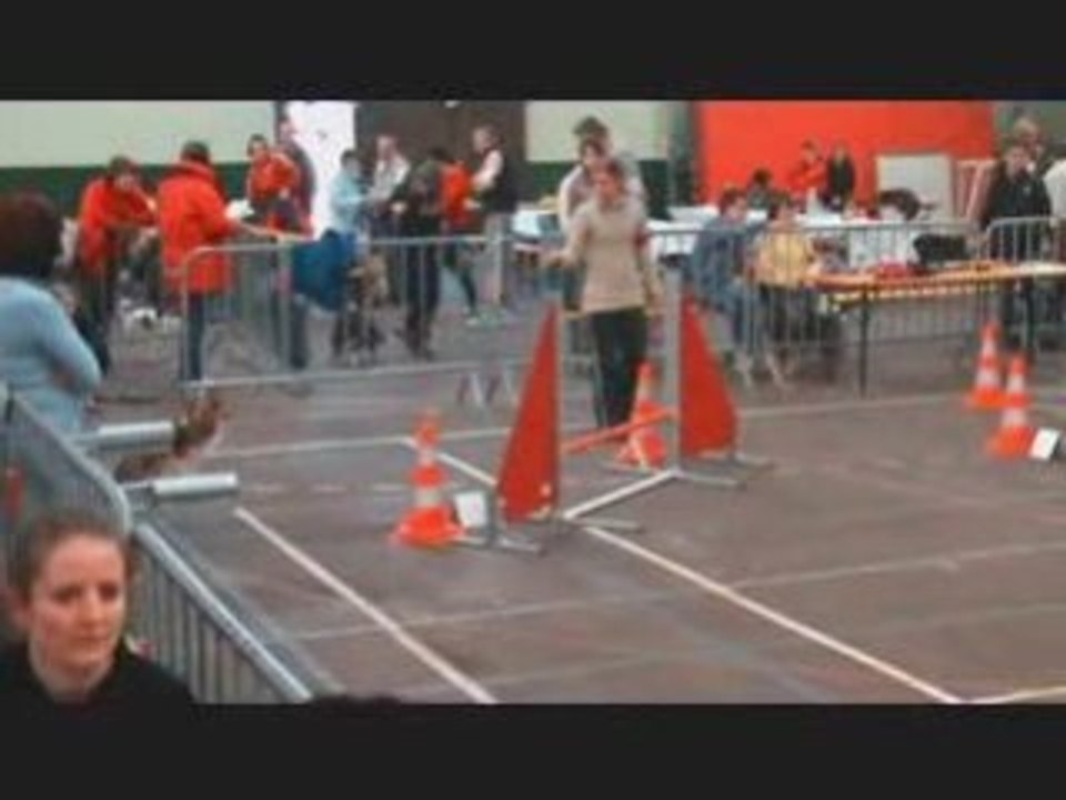 Concours Arc les Gray Créole, Chips et Tess