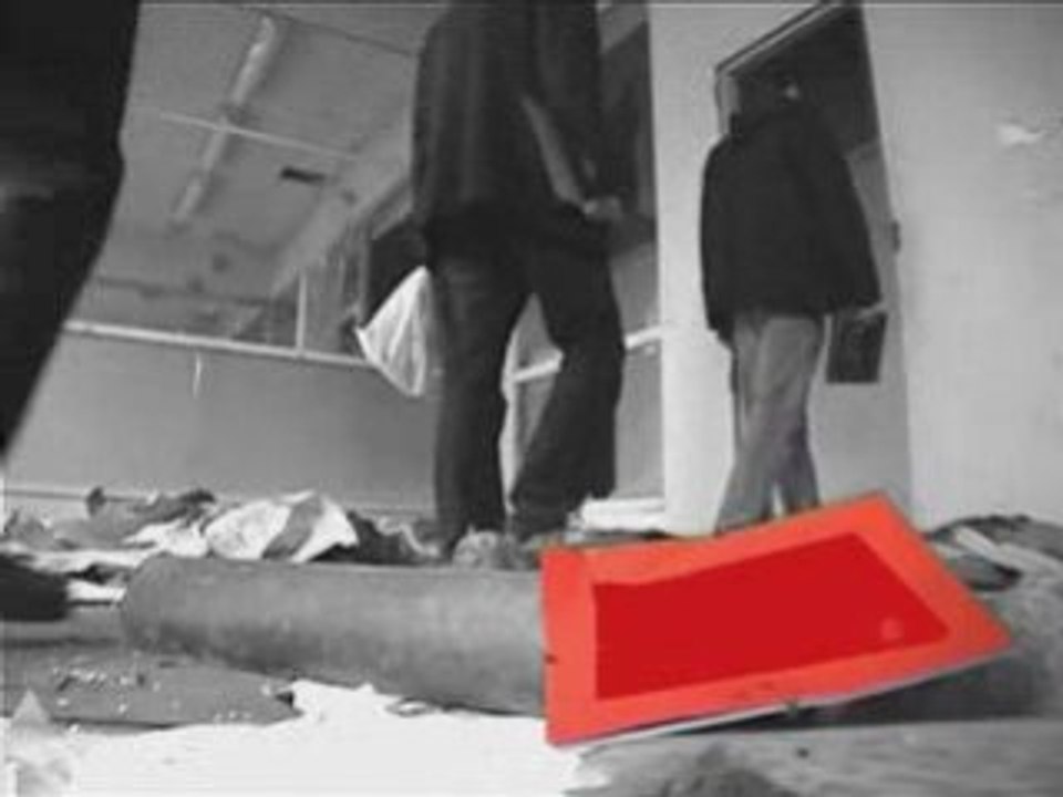 1180  chienne de vie