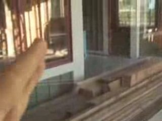 Mueller Redevelopment Cool River Home with garage apartme...