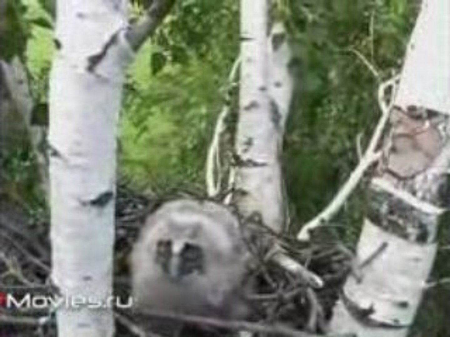 ⁣На Ямал по Западной Сибири