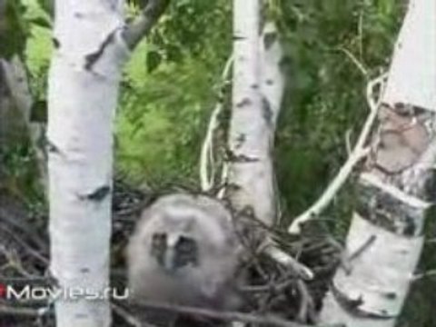 На Ямал по Западной Сибири