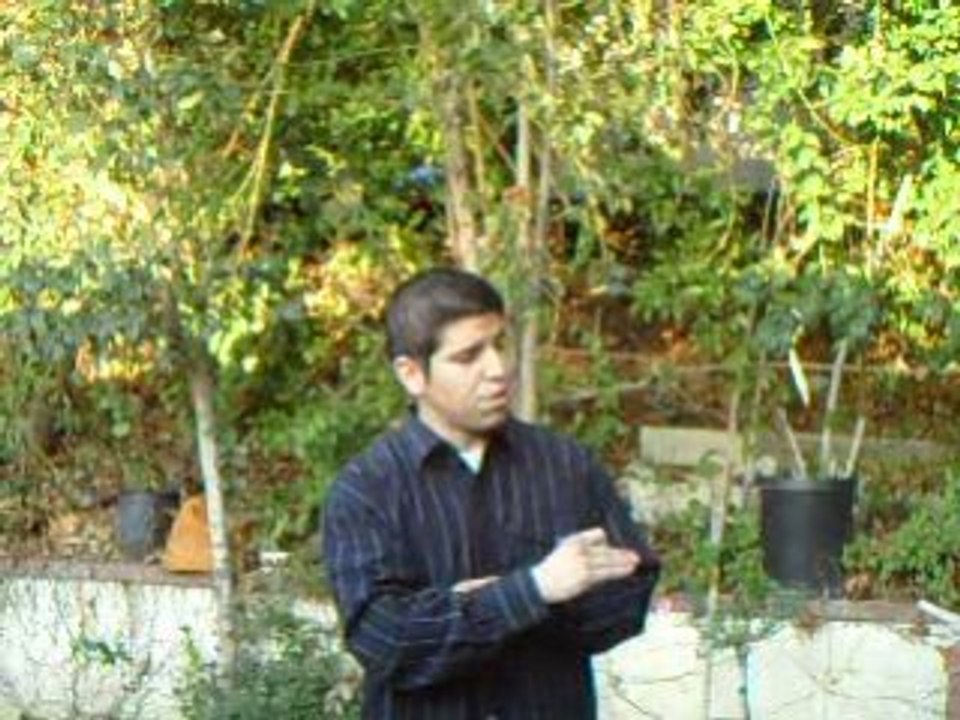 Buy a House in Jackson, MS - We Sell Bargain Properties