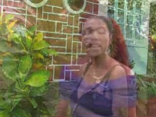 Ty nimerao-Delphin pecto raiky