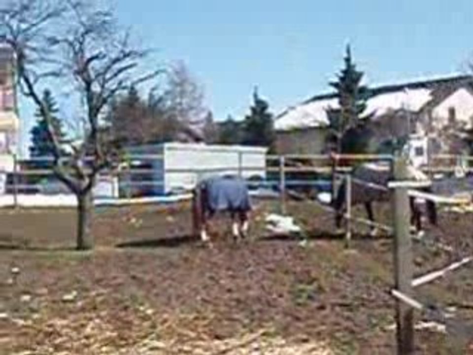 Passion au parc 2