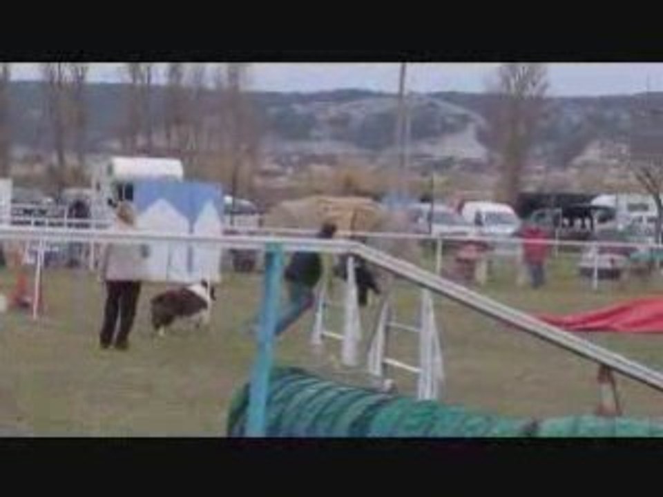 Totemm CoteBleue 01.03.09