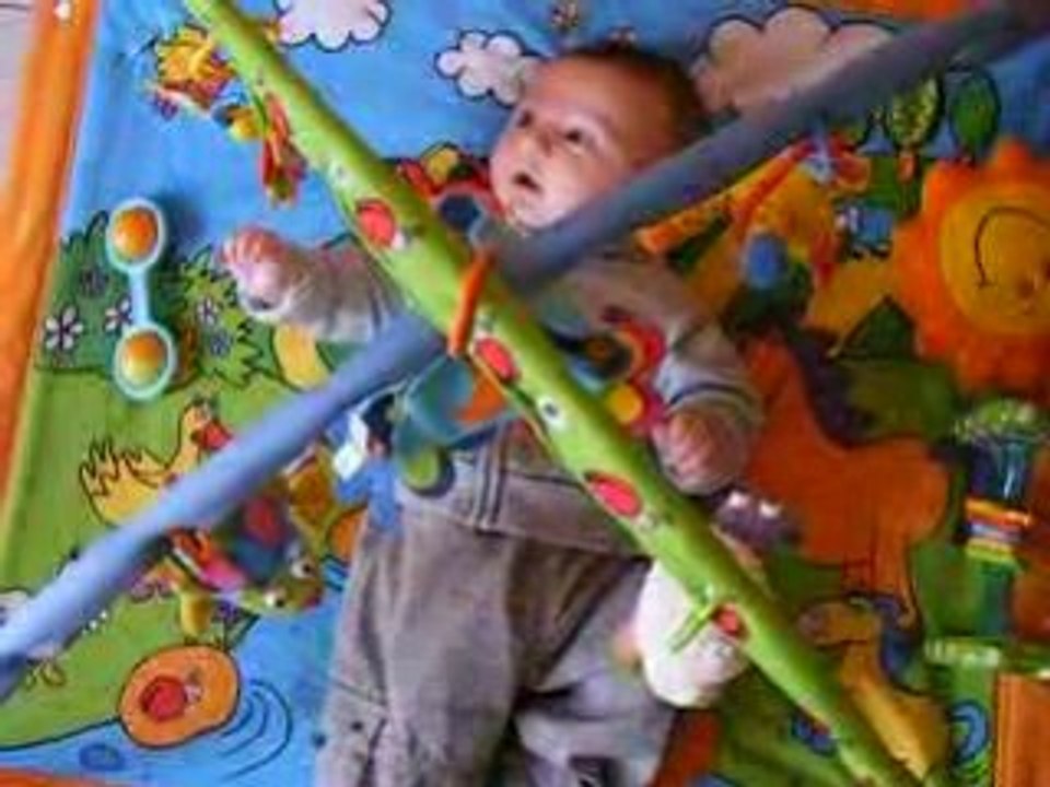 noah