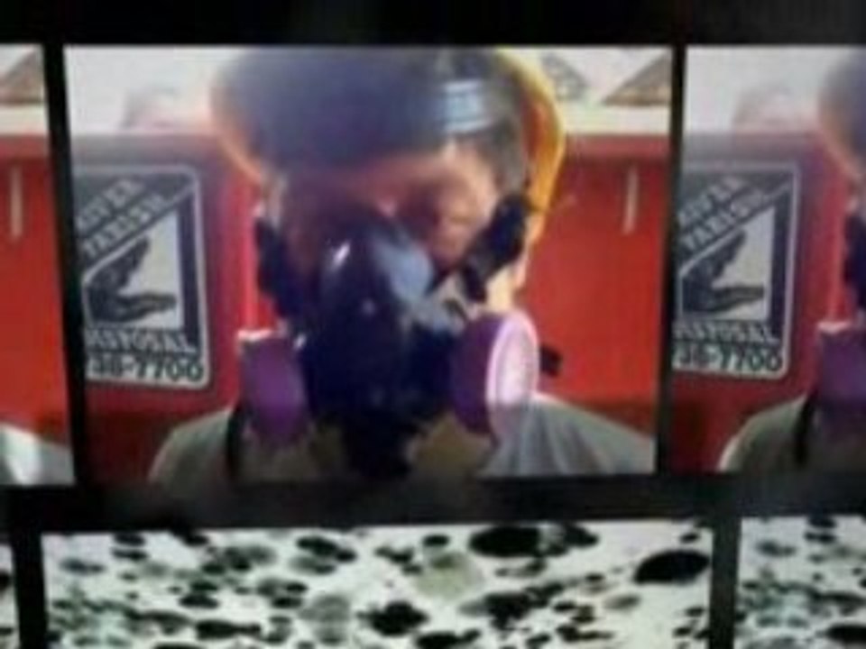 Black Mold symptoms: Black Molds are hazardous to Health