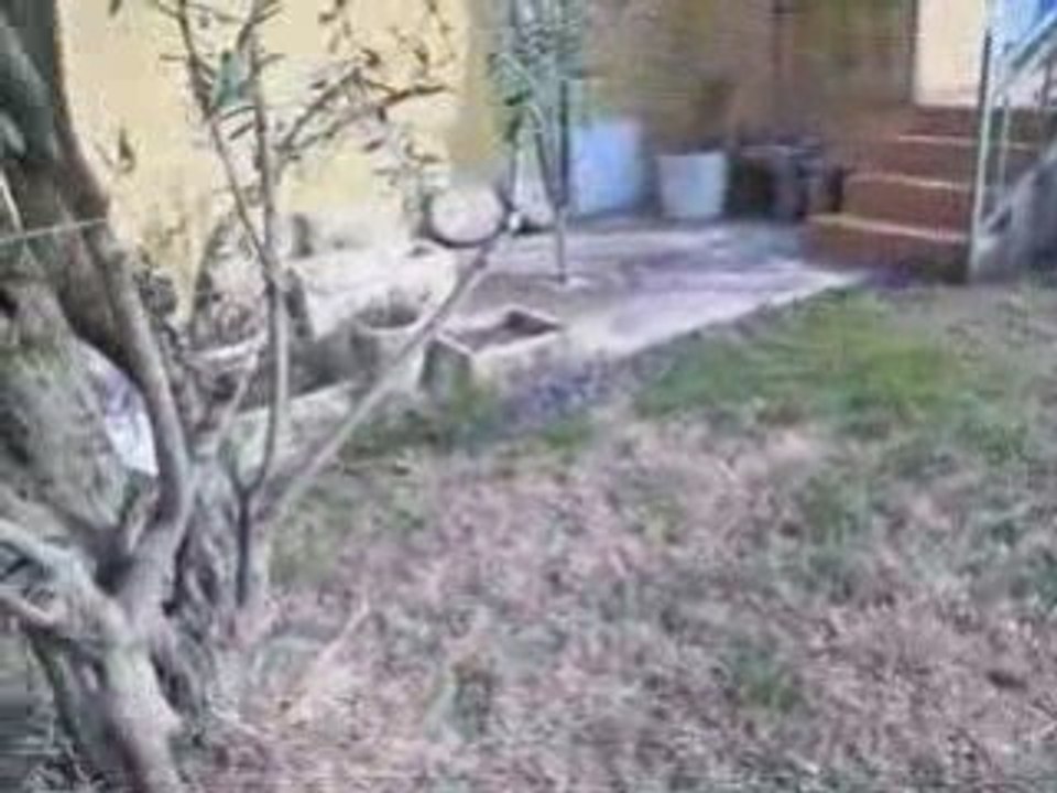 Jeu dans le jardin (Abbesse-Diane)