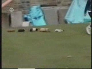 Hayvan & İnsan dostluğu