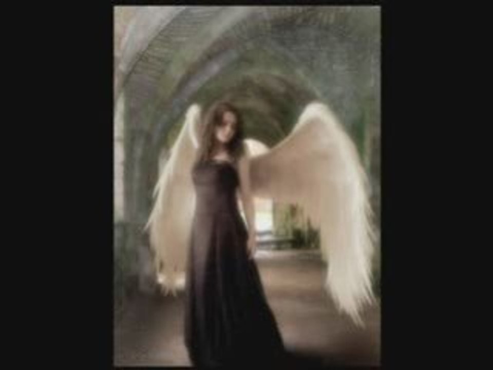 ANGELS FALL FIRST