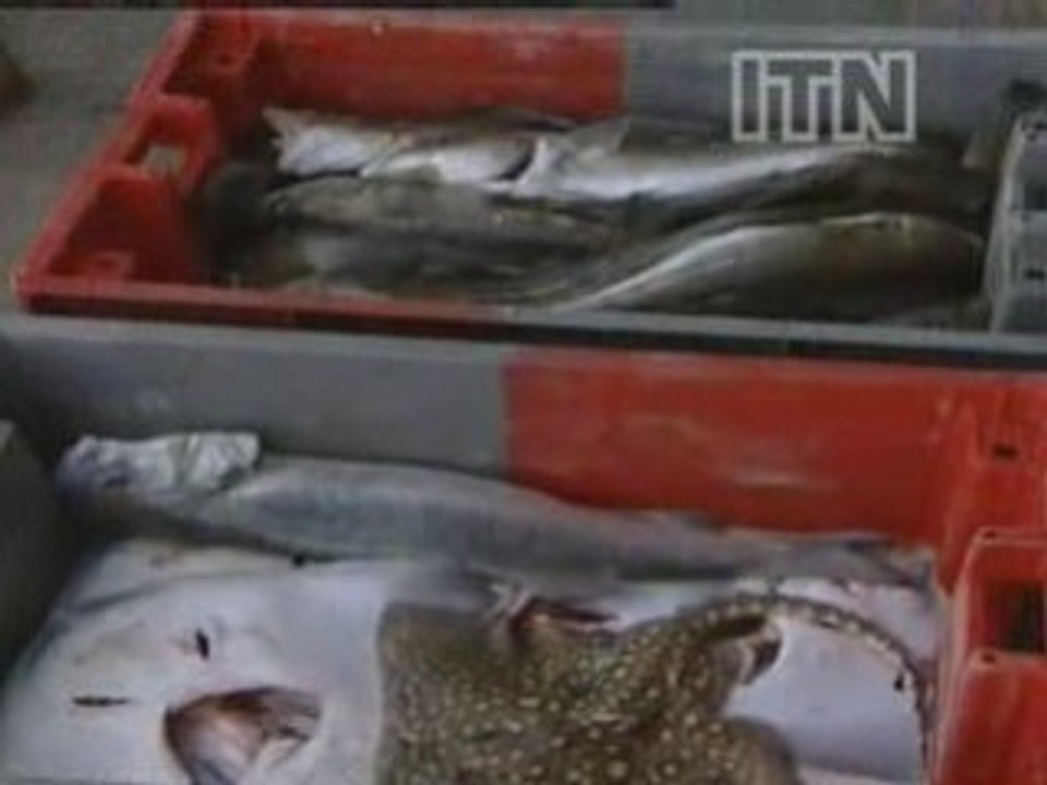 Fish stocks warning