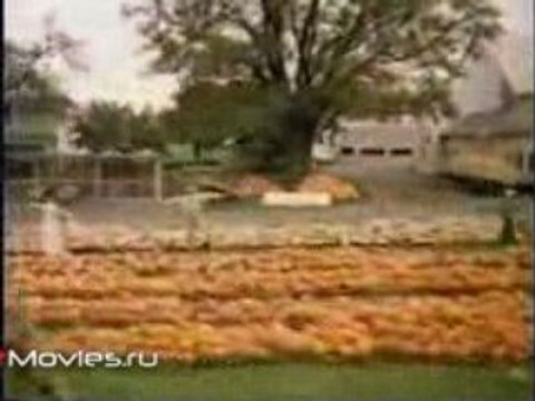 Звёзды музыкального кино. Милош Форман