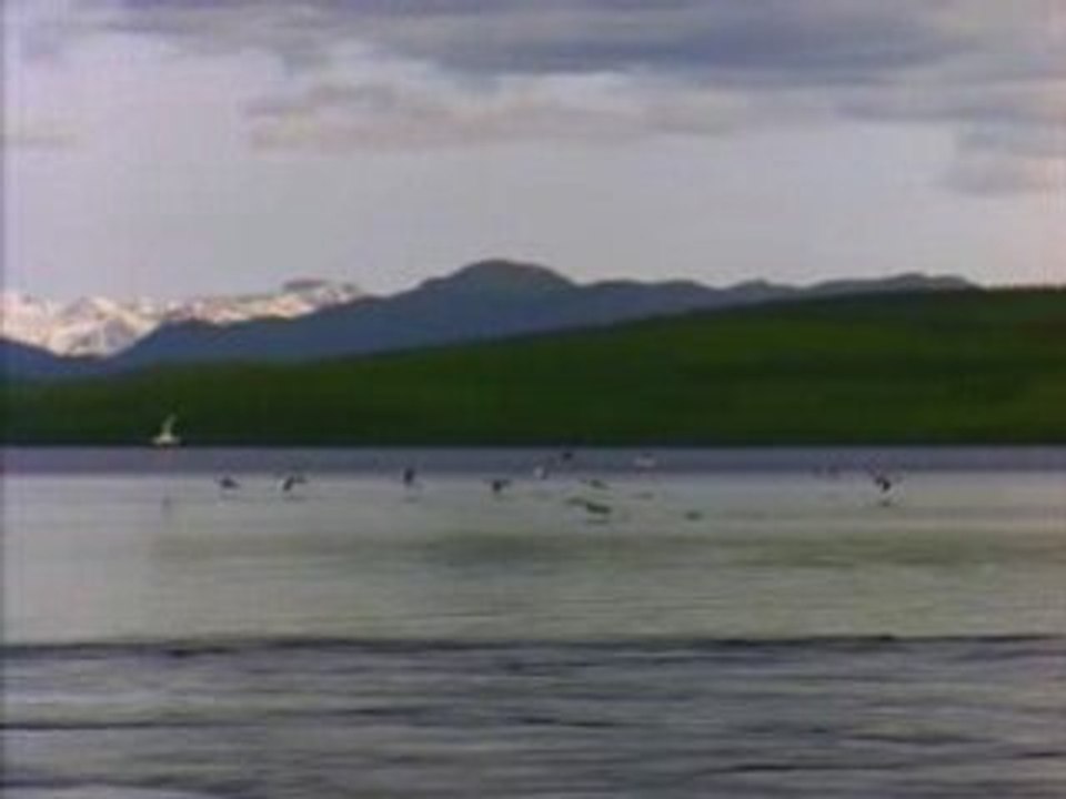 Lake