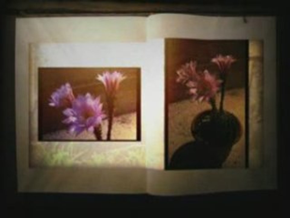 PIXILETTER #008