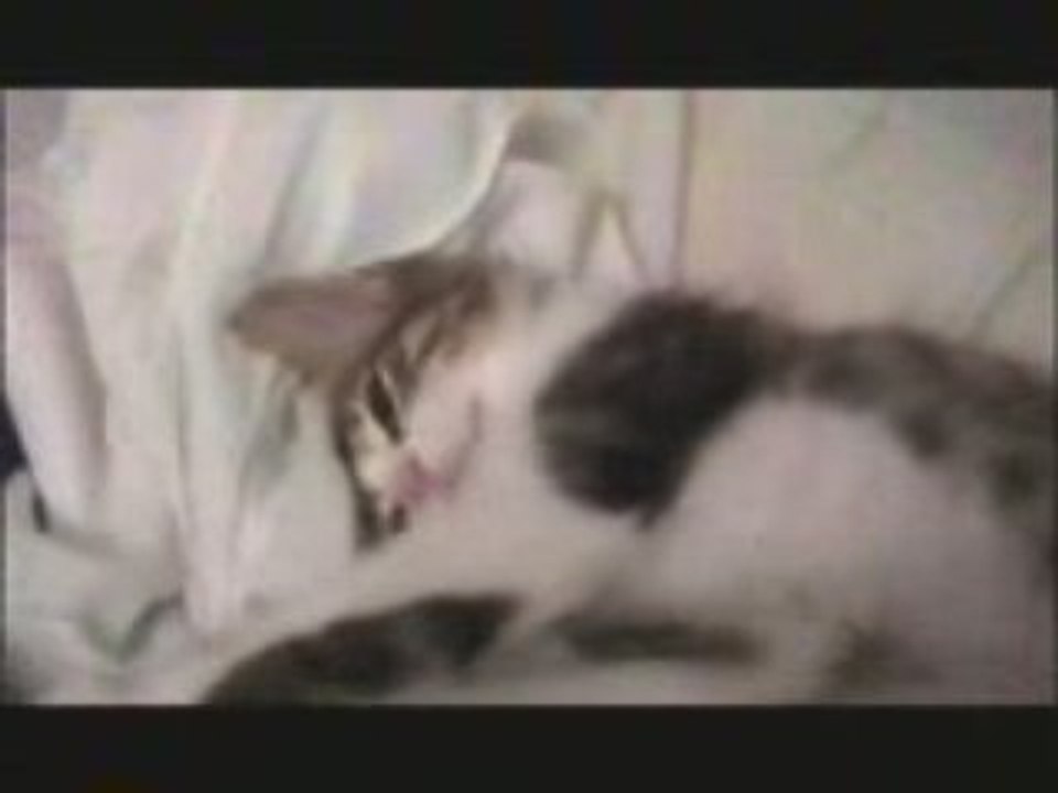 Titeuf 2002
