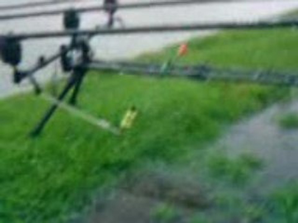 Didier et son vers de terre lol