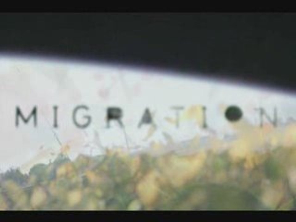 MIGRATION
