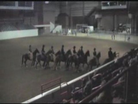 Peruvian Pasobilities on Speaking of Horses