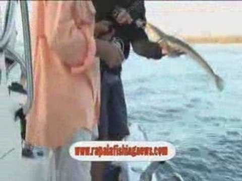 Using Slam Baits with Ultrabite on the Gold Coast