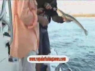 Using Slam Baits with Ultrabite on the Gold Coast