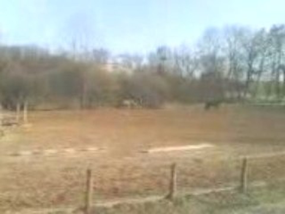 MVI_0004