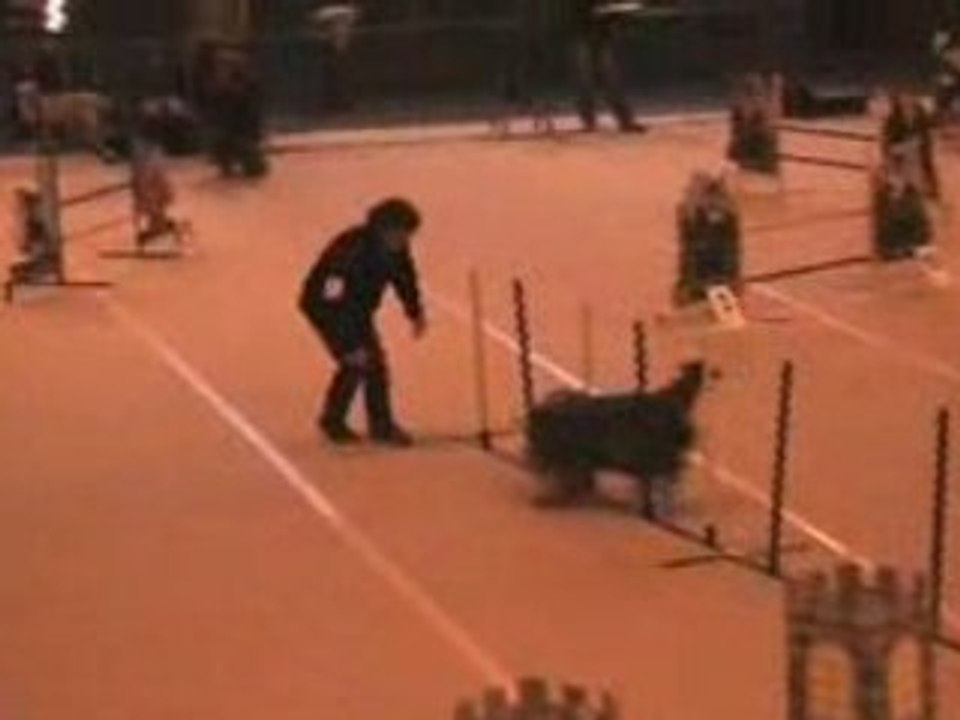 ajadh les sorinieres jumping