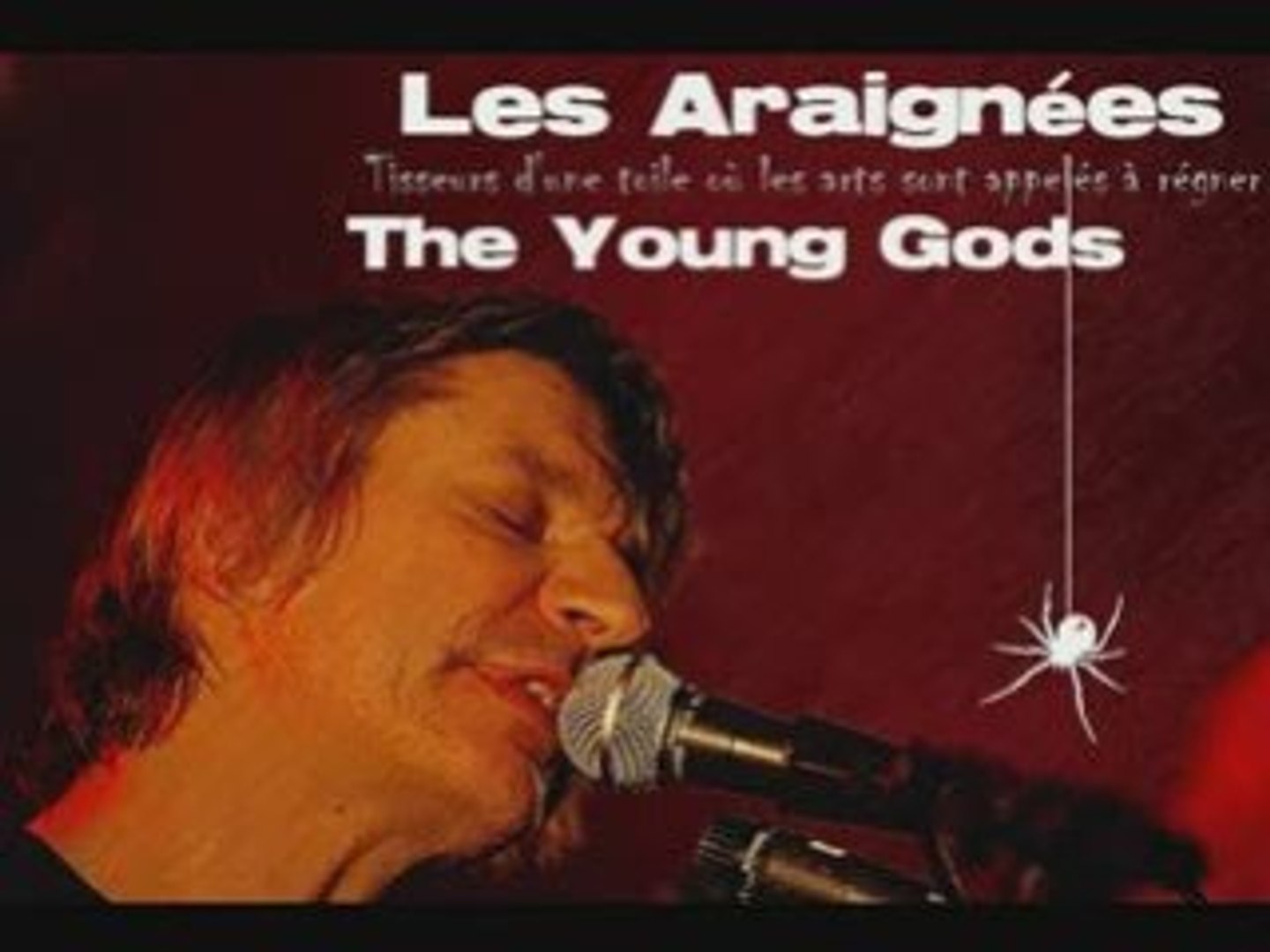⁣The Young Gods - Interview Les Araignées