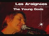 The Young Gods - Interview Les Araignées