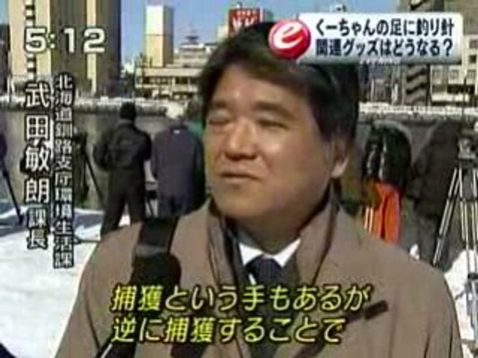 Lontra-do-mar vira atração em Kushiro