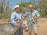 Lewis Black - Aruba Donkey video
