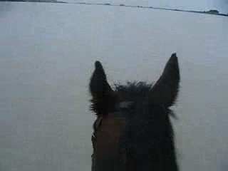 Plage Chevaux =)