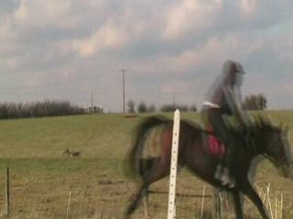 Radjah2 3.3.09