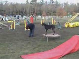 Valea agility stage
