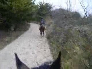 Séance galop