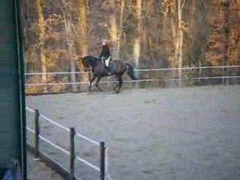 Querelle dressage galop2