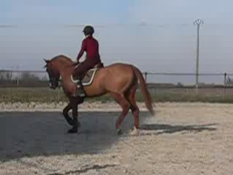 quidam n°1