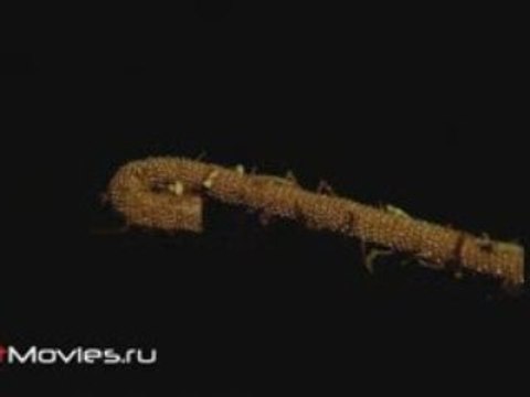 Танец живота. Техника выполнения элементов. Трость