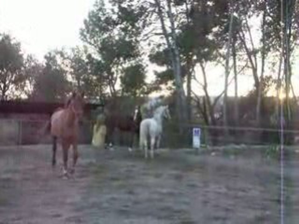 Pic-Poc-Pac font mumuse 1(mars2009)