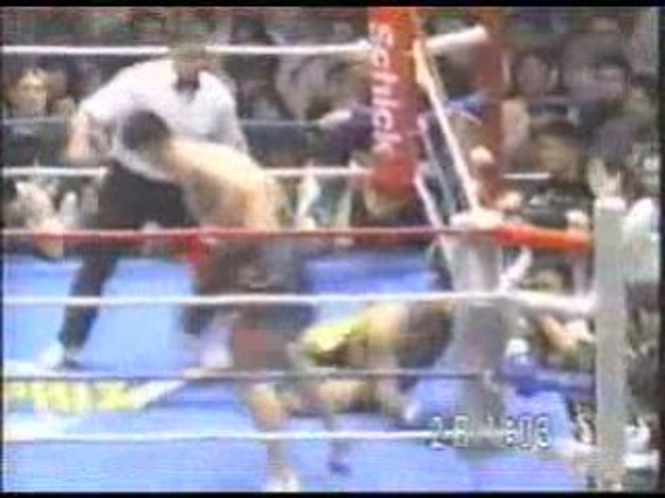 SatakeCikatic 1994