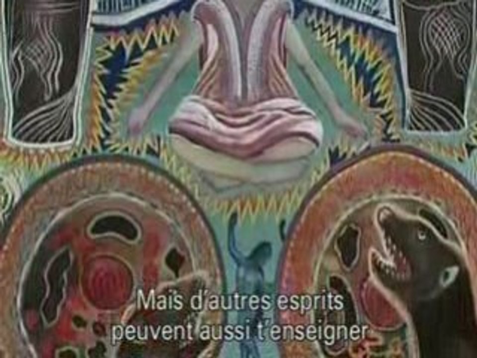 Jan Kounen - D'autres mondes (Chamanisme - Ayahuasca)partie3