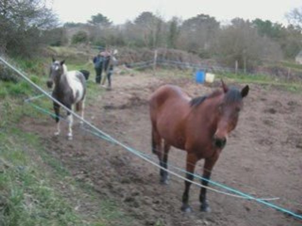 Des nouvelles de France !!!