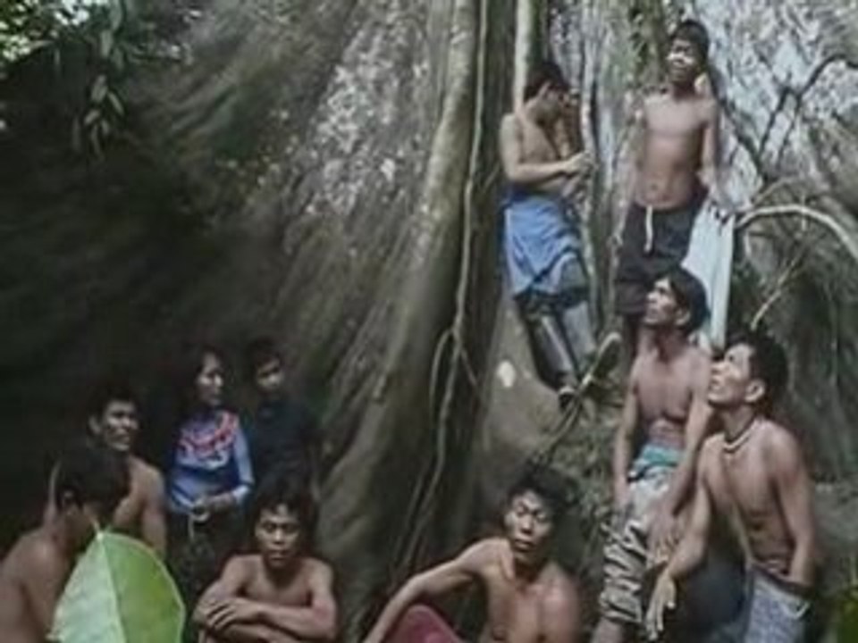 Jan Kounen - D'autres mondes (Chamanisme - Ayahuasca)partie4