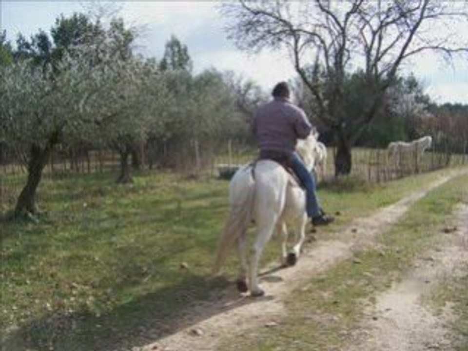 Jose une semaine