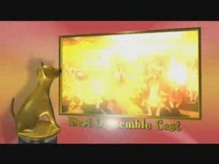 The real slumdog millionaire is The Beverly Hills Chihuaha