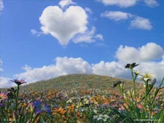 Amir Farjam & DJ Arash - Vaghti ba mani remix