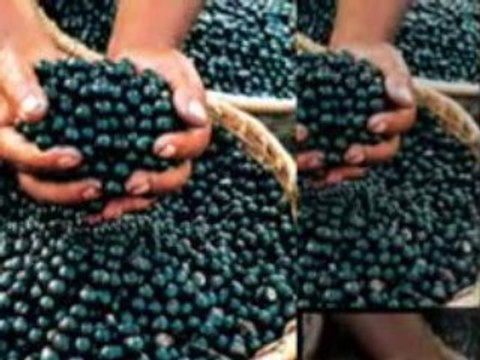 Health Benefits of Acai Berry