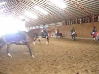 Journée à l'académie équestre anni marion 100