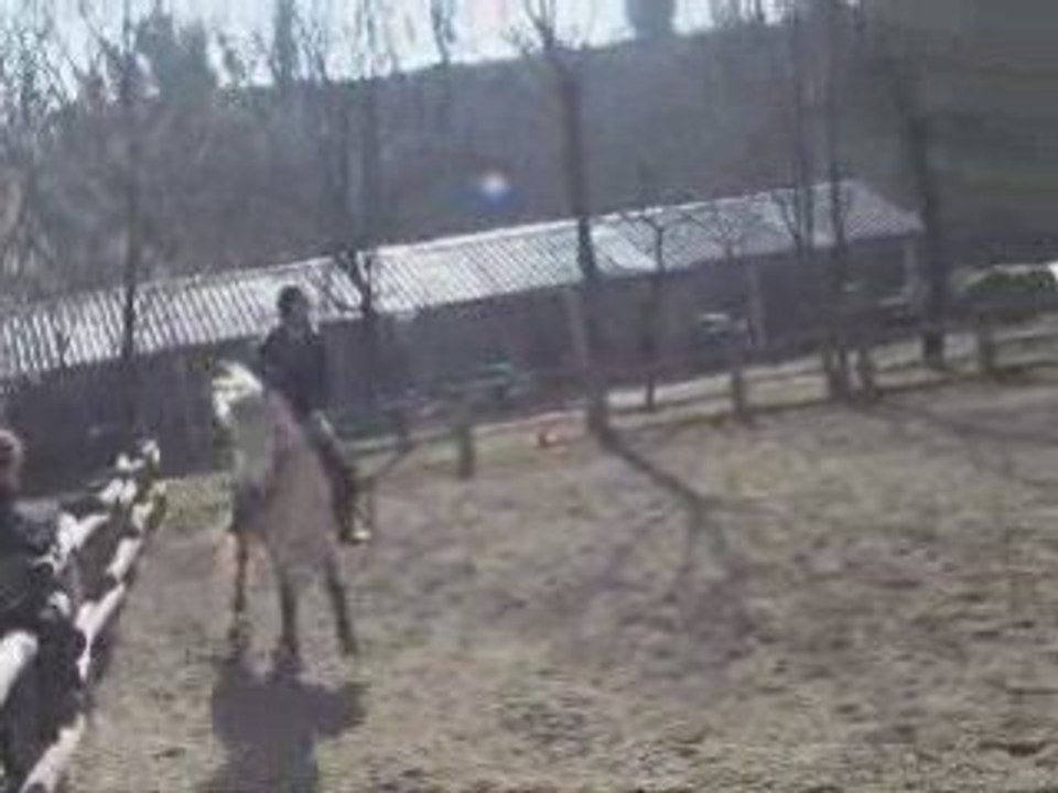 Toto & Moi en CSO