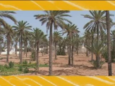 Rallye des papillons 2008 F3 Corse part2