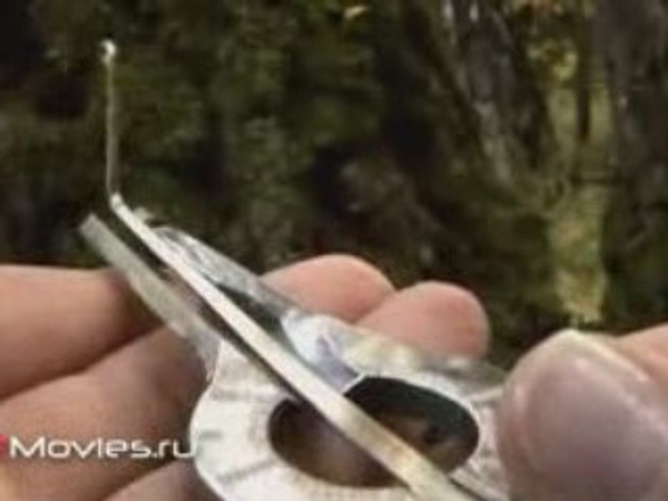 Хочу все знать №301